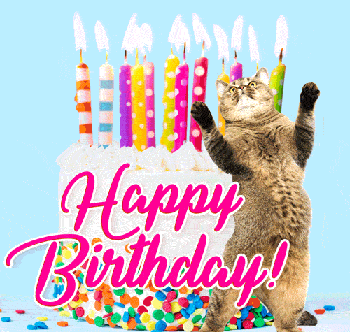 Гифка Праздничный торт со свечами ко дню рождения и смешной танцующий кот. Гифка Праздничный торт со свечами ко дню рождения и смешной танцующий кот.