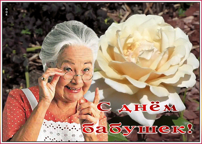 Прикольная картинка с белой розой для любимой бабушки. Прикольная картинка с белой розой для любимой бабушки.