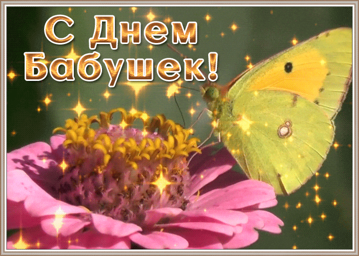 Мерцающая gif картинка с бабочкой на цветке для бабулечки. Мерцающая gif картинка с бабочкой на цветке для бабулечки.