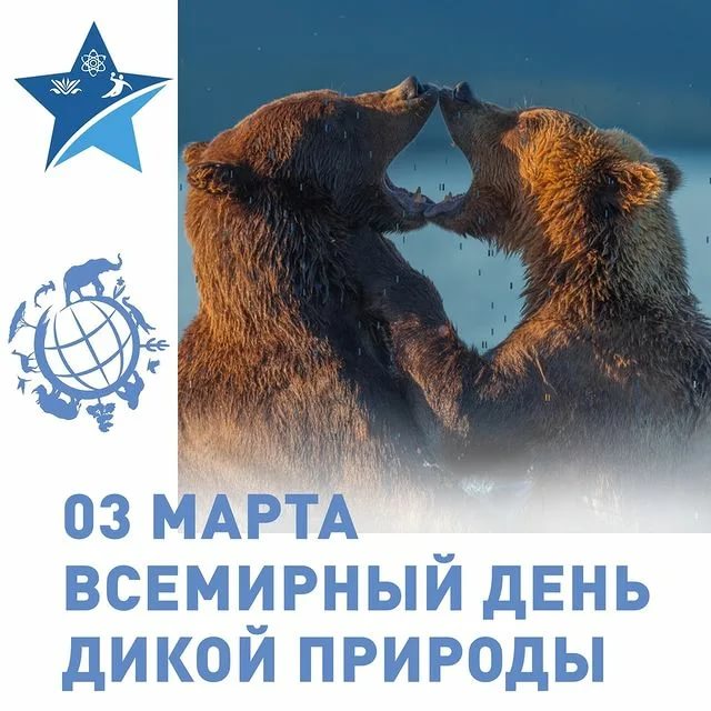 Поздравления с днём дикой природы. Поздравления с днём дикой природы.