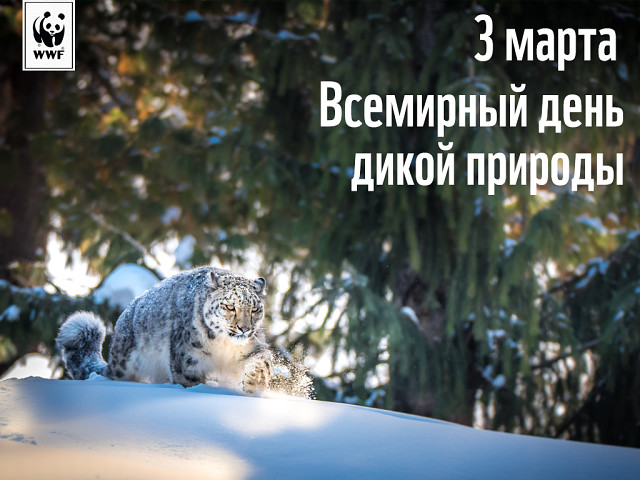 Всемирный день дикой природы 2024: картинки и открытки Всемирный день дикой природы 2024: картинки и открытки