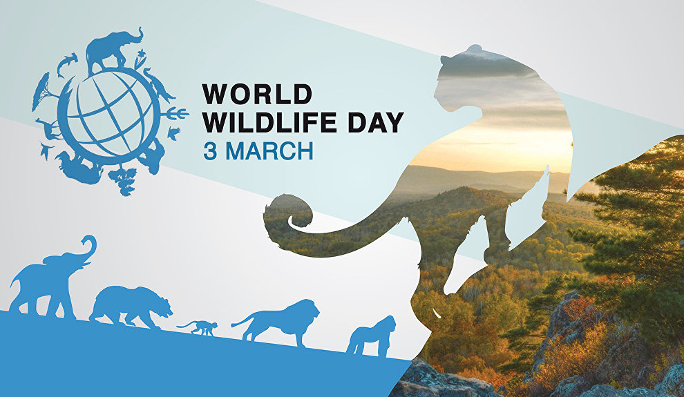 С всемирным днем дикой природы. С всемирным днем дикой природы.