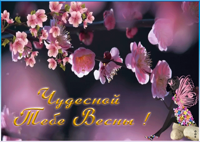 Красивая, цветочная гиф открытка с надписью "Чудесной тебе Весны!". Красивая, цветочная гиф открытка с надписью "Чудесной тебе Весны!".