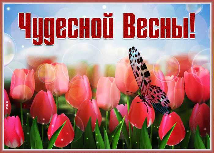Очень красивая гифка с пожеланием чудесной весны на фоне красных тюльпанов и бабочки. Очень красивая гифка с пожеланием чудесной весны на фоне красных тюльпанов и бабочки.