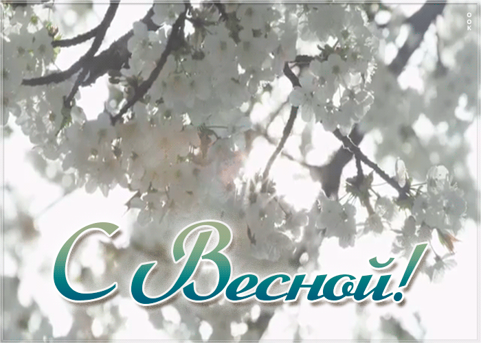 Яркая новая гифка поздравляю с Весной. Яркая новая гифка поздравляю с Весной.