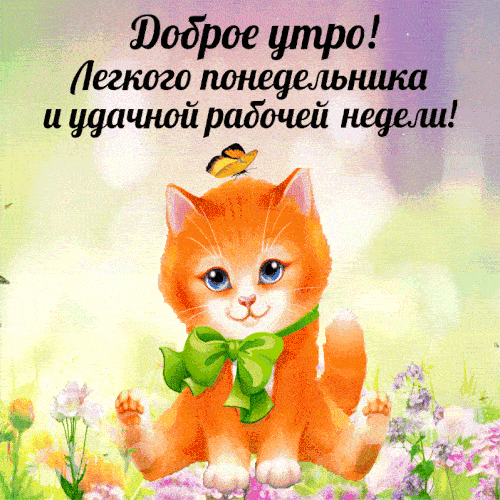 Милая мультяшная анимация доброе утро, лёгкого понедельника и удачной рабочей недели с котёнком. Милая мультяшная анимация доброе утро, лёгкого понедельника и удачной рабочей недели с котёнком.