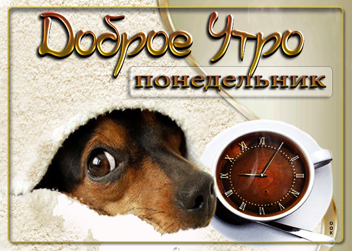 Смешная гиф открытка с собакой утро понедельника. Смешная гиф открытка с собакой утро понедельника.