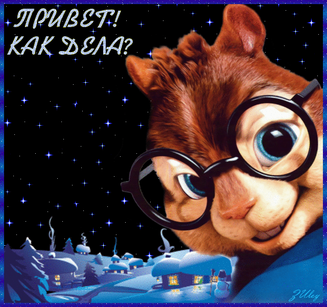 Gif картинка бурундук очкарик. Gif картинка бурундук очкарик.