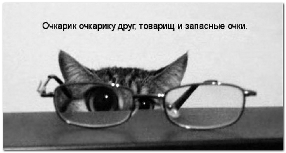 Очкарик очкарику друг, товарищ и запасные очки. Очкарик очкарику друг, товарищ и запасные очки.