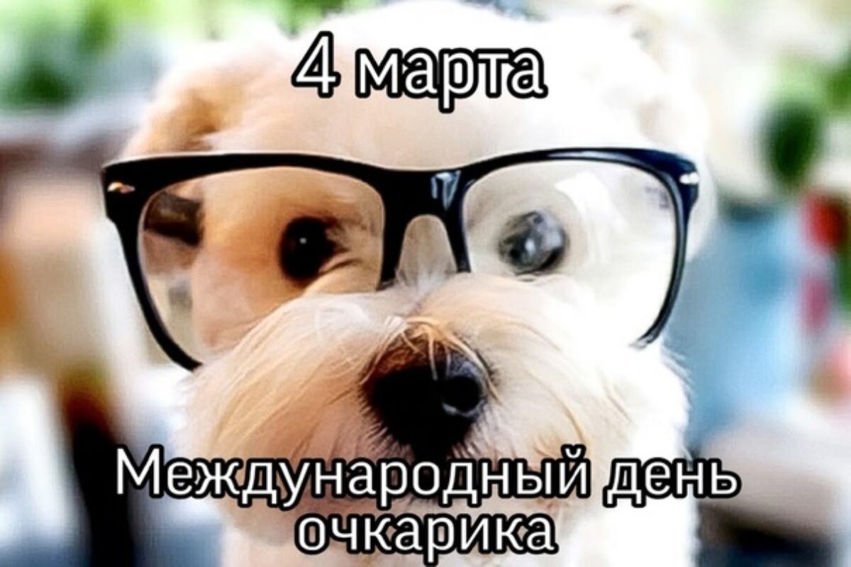 Смешная открытка собака очкарик на 4 марта. Смешная открытка собака очкарик на 4 марта.