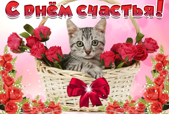 Гифка вот вам кот, пусть он счастье принесёт.