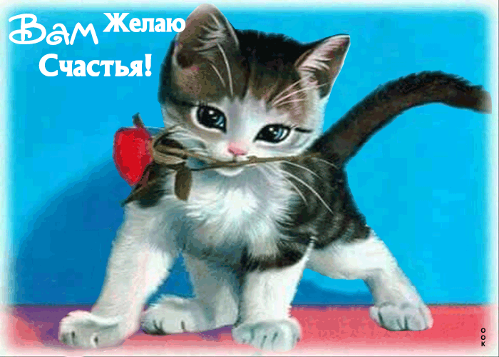 Смешная открытка с котом на день счастья.