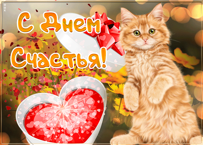 Красивая гиф открытка с днём счастья с рыжим котиком.
