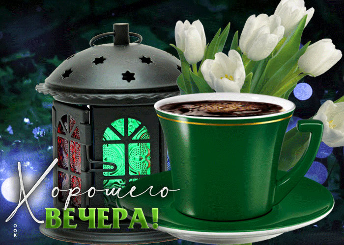 Вдохновенная и творческая gif картинка с белыми тюльпанами Хорошего весеннего вечера.