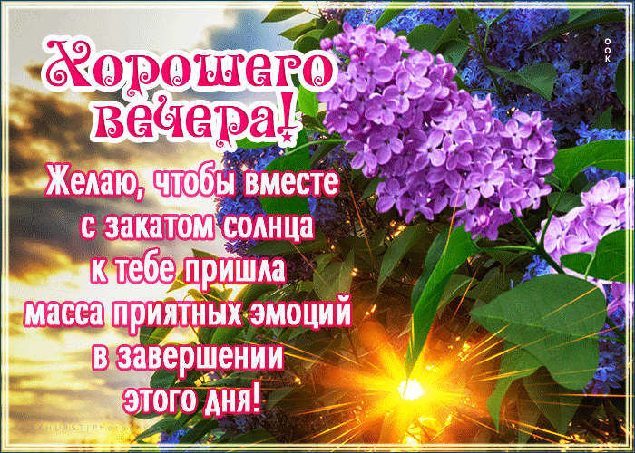 Красивая гифка с весенними пожеланиями хорошего вечера и веткой сирени.