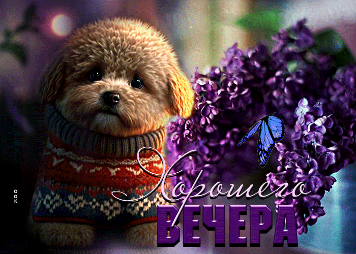 Милая и трогательная гиф открытка хорошего вечера, с собачкой и весенней сиренью.