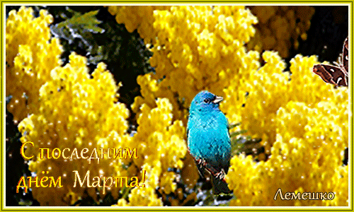 Мерцающая открытка с последним днём марта 2024.