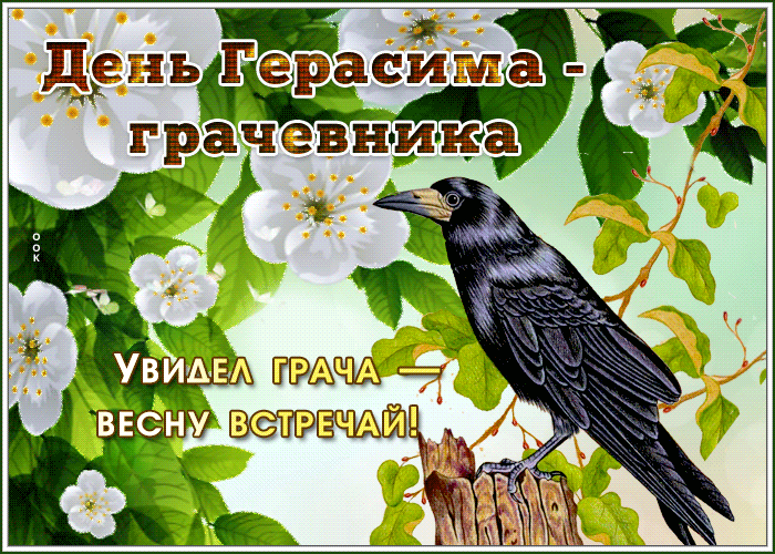 Красивая весенняя гифка на день Герасима, увидел грача, весну встречай.