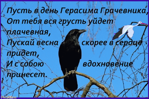Пусть в день Герасима Грачевника, от тебя вся грусть уйдёт плачевная, пускай весна скорее в сердце придёт, и с собою вдохновение принесёт.