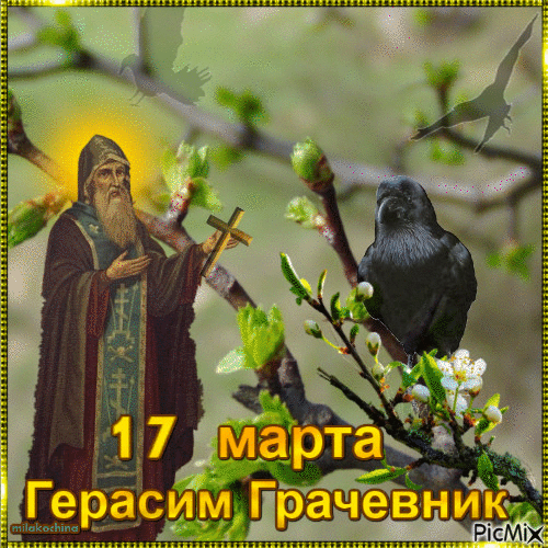 Весенняя гифка с изображением Герасима Грачевника и чёрного грача.