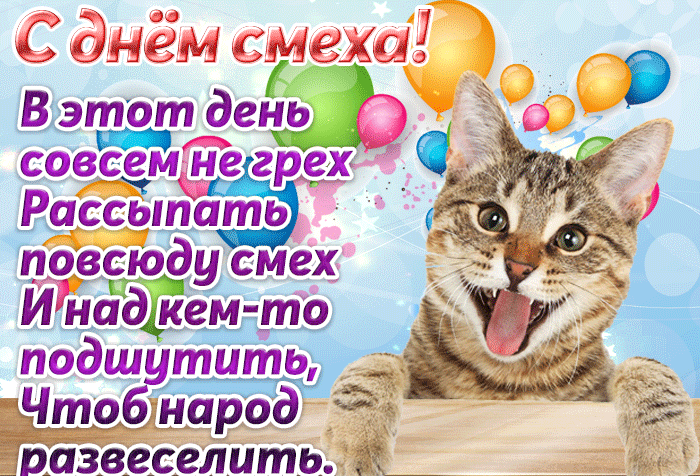 Новая смешная гифка с котом на день смеха. Новая смешная гифка с котом на день смеха.