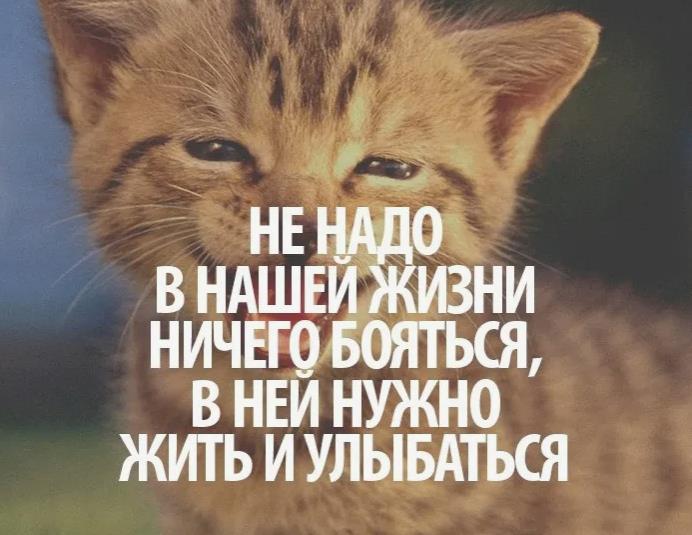 Прикольные мотивационные картинки для детей.