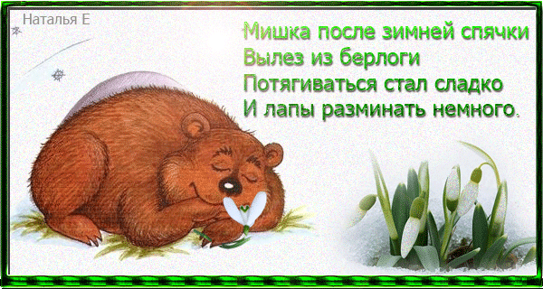 Гифка мишка после зимней спячки вылез из берлоги, потягиваться стал сладко и лапы разминать немного. Гифка мишка после зимней спячки вылез из берлоги, потягиваться стал сладко и лапы разминать немного.