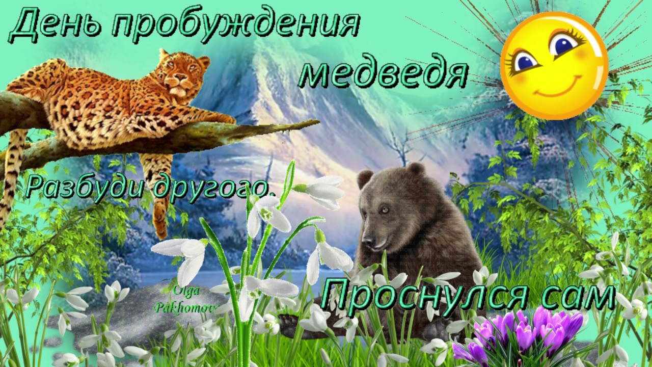 Приколы ко дню пробуждения мишек. Приколы ко дню пробуждения мишек.