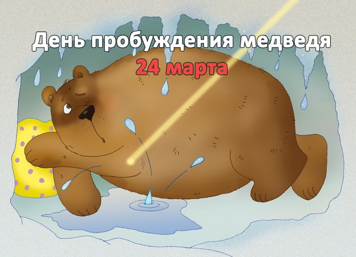 Смешная открытка с медведем спящим в берлоге. Смешная открытка с медведем спящим в берлоге.