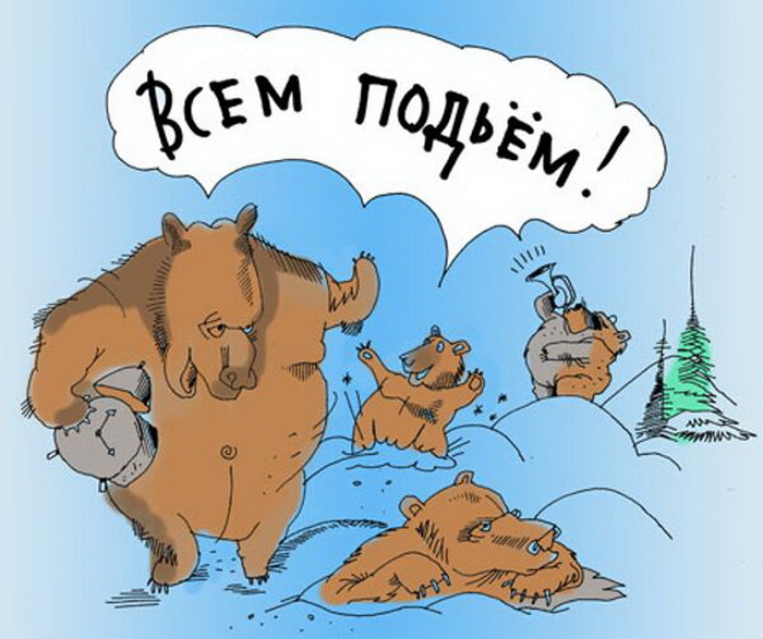 Карикатура на медведей "Всё подъём!". Карикатура на медведей "Всё подъём!".