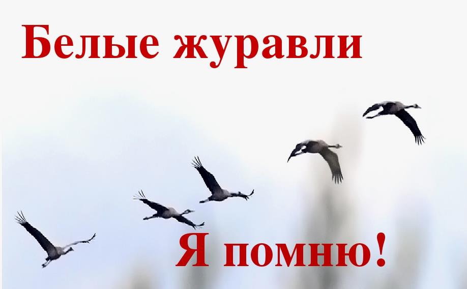 Надпись "Я помню! Белые Журавли!". Надпись "Я помню! Белые Журавли!".