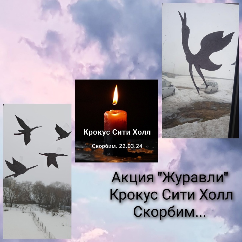 Картинка к акции "Журавли" Крокус Сити Холл. Картинка к акции "Журавли" Крокус Сити Холл.