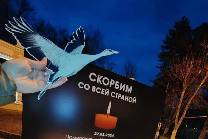 Открытка скорбим со всей страной "Белый Журавль!". Открытка скорбим со всей страной "Белый Журавль!".