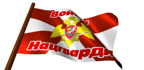 Анимация с флагом войск национальной гвардии на прозрачном фоне. Анимация с флагом войск национальной гвардии на прозрачном фоне.