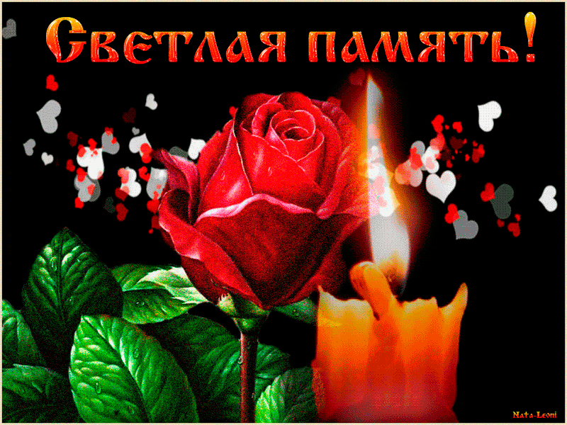Красивая гифка с красной розой и горящей свечой с текстом "Светлая память!".