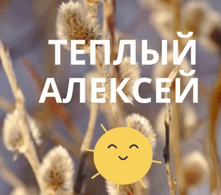 Солнечная анимация с веточками вербы на день Тёплого Алексея. Гифки на праздник "Тёплый Алексей". Солнечная анимация с веточками вербы на день Тёплого Алексея. Гифки на праздник "Тёплый Алексей".