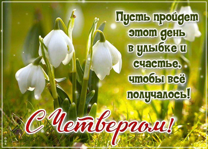 Яркая анимация с подснежниками и пожеланием улыбаться в этот весенний четверг. Яркая анимация с подснежниками и пожеланием улыбаться в этот весенний четверг.