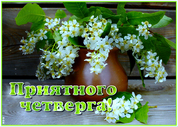 Умиротворяющая гифка с цветами, приятного четверга. Умиротворяющая гифка с цветами, приятного четверга.