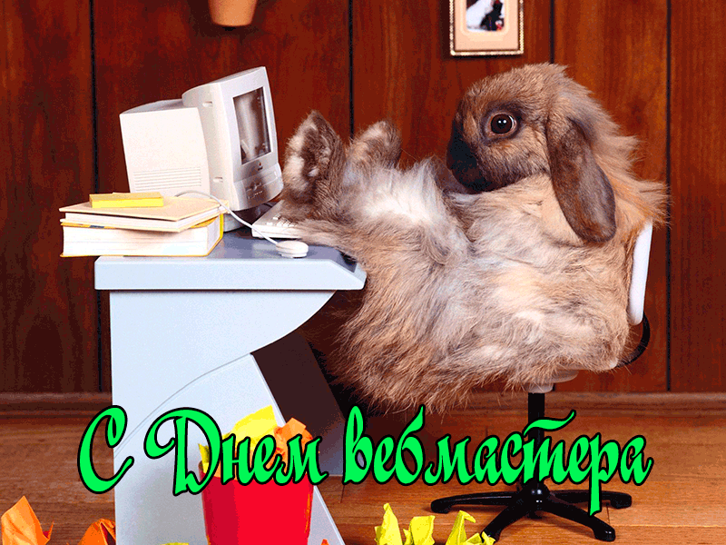 Смешная гифка с кроликом за компом на день вебмастера. Смешная гифка с кроликом за компом на день вебмастера.