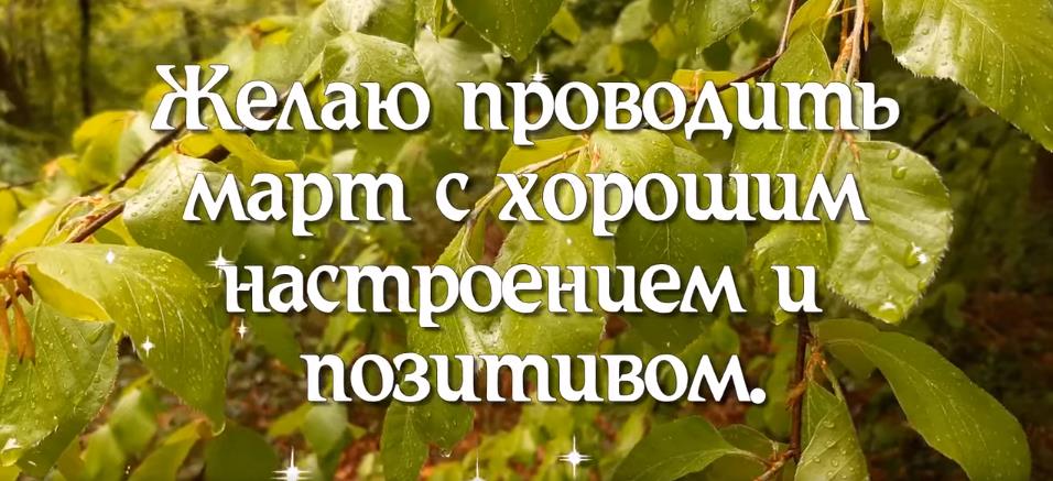 Желаю проводить март с хорошим настроением и позитивом.