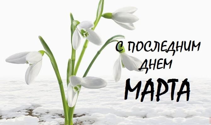 Красивая картинка с подснежниками и поздравительной надписью "С последним днём Марта!".