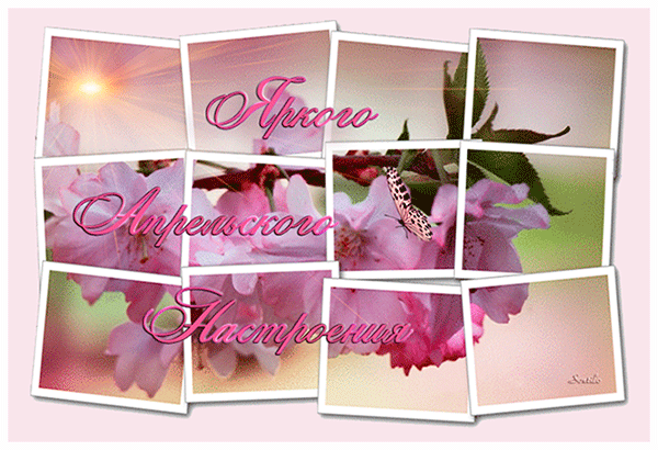 Мерцающая gif картинка с пожеланием яркого апрельского настроения на весь день. Мерцающая gif картинка с пожеланием яркого апрельского настроения на весь день.