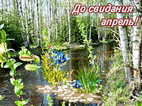 Весенняя мерцающая gif картинка до свидания апрель. Весенняя мерцающая gif картинка до свидания апрель.