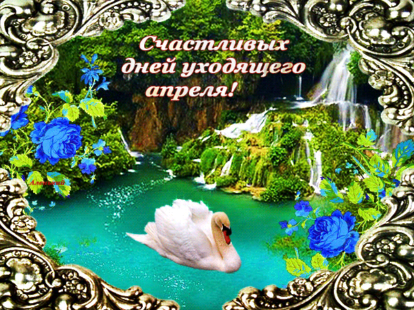 Блестящая открытка с лебедем и текстом "Счастливых дней уходящего апреля!". Блестящая открытка с лебедем и текстом "Счастливых дней уходящего апреля!".