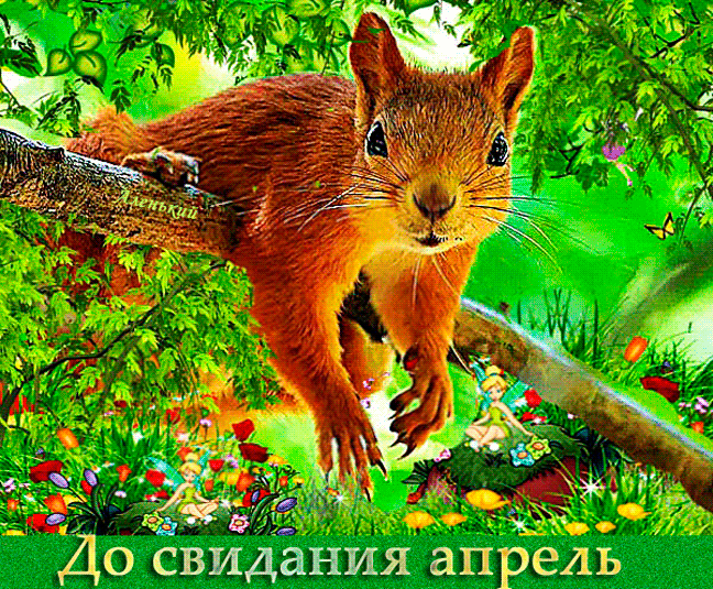 Смешная гифка с белкой "До свидания апрель!". Смешная гифка с белкой "До свидания апрель!".