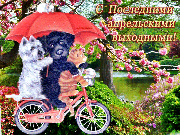 Забавная картинка с собаками на велосипеде и надписью "С последними апрельскими выходными!". Забавная картинка с собаками на велосипеде и надписью "С последними апрельскими выходными!".