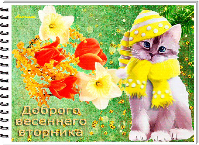 Милая гифка с котом "Доброго весеннего вторника!". Милая гифка с котом "Доброго весеннего вторника!".