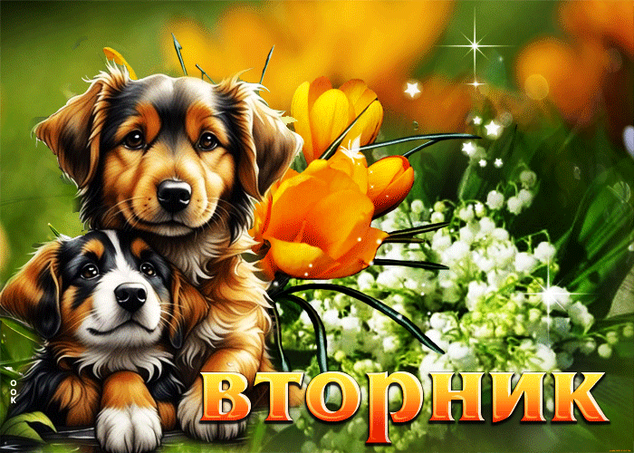 Блестящая гиф открытка с собаками на фоне весенним цветов и надписью "Вторник!". Блестящая гиф открытка с собаками на фоне весенним цветов и надписью "Вторник!".