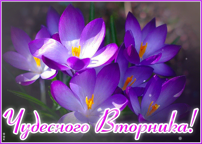Волшебная картинка с сияющими весенними цветами и пожеланием чудесного вторника. Волшебная картинка с сияющими весенними цветами и пожеланием чудесного вторника.