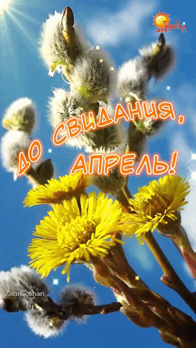 Солнечная гиф открытка с надписью "До свидания, Апрель!" на фоне веточки вербы и одуванчиков. Солнечная гиф открытка с надписью "До свидания, Апрель!" на фоне веточки вербы и одуванчиков.